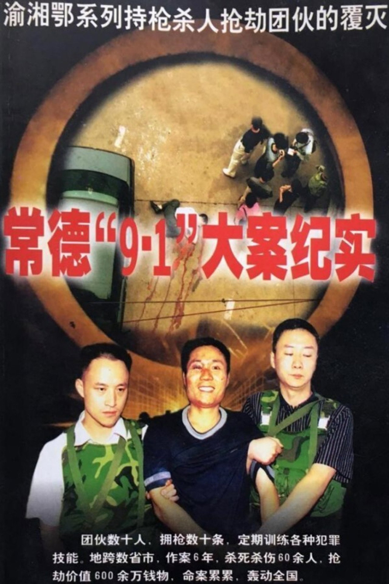 大案侦破警示录