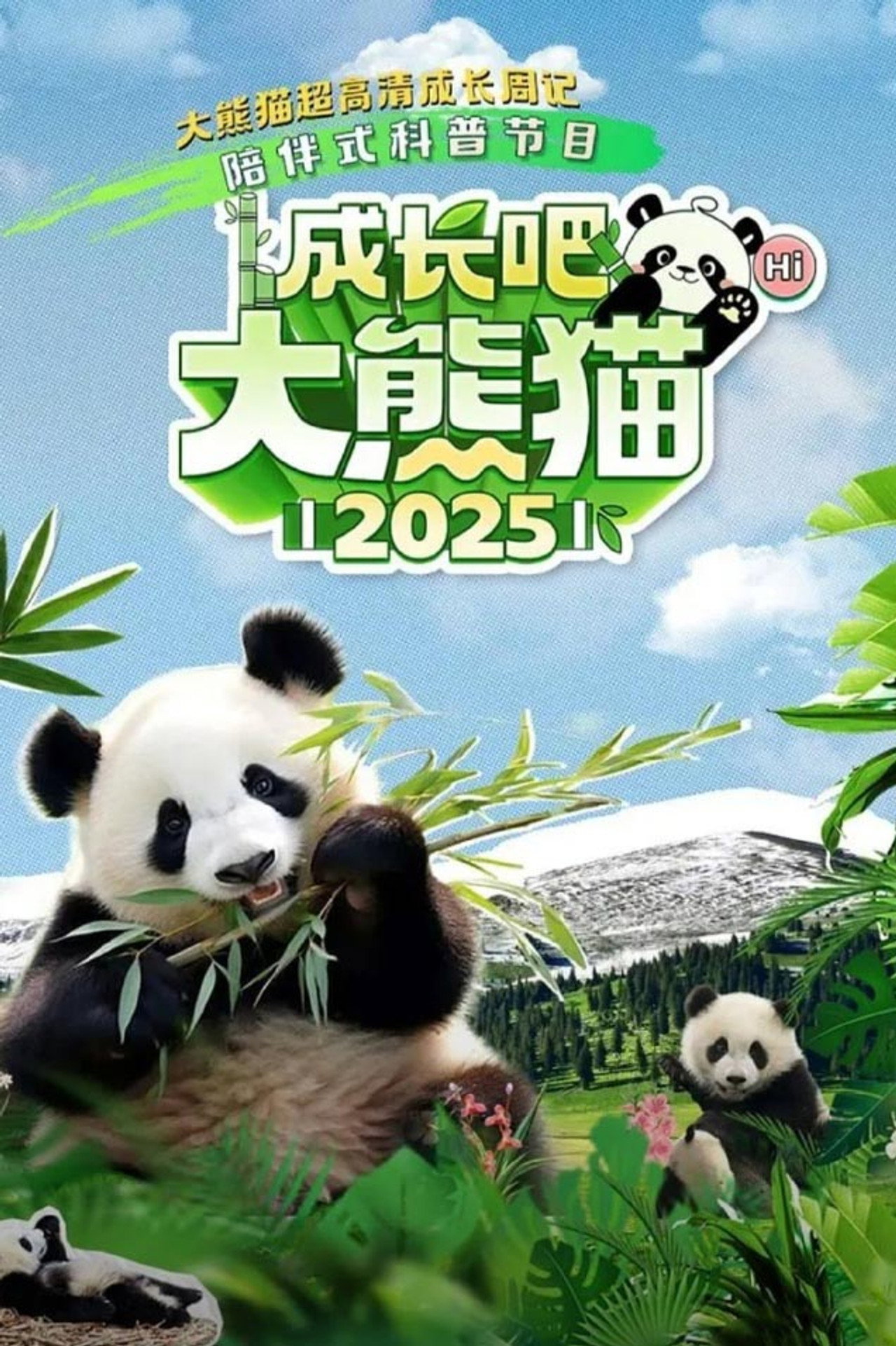 成长吧!大熊猫2025