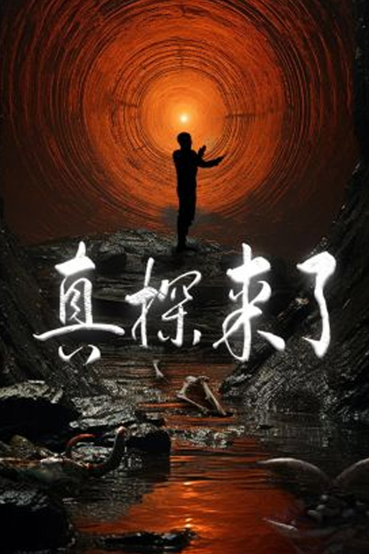 真探 第4季