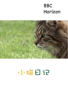 地平线系列 小猫日记