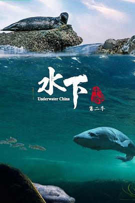 水下中国 第2季