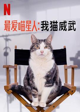 最爱喵星人 我猫威武